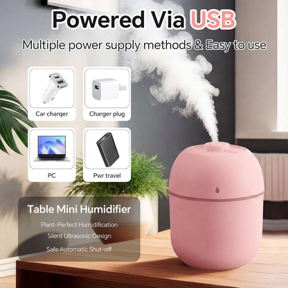 Hortsun 12 Pcs Portable Small Humidifier USB Personal Desktop 220 ml Mini Humidifier for Bedroom Plants Car Office Room Home Travel (White,Pink)