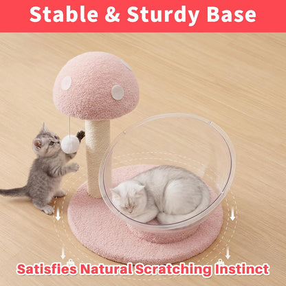 Mushroom Cat Tree for Kittens and Small Cats, 14.17" Cat Scratching Post with Clear Bowl Bed, Pink Sisal Scratcher with Pom Pom Toy, Stable Plush Base, Easy Assembly for Indoor Cats