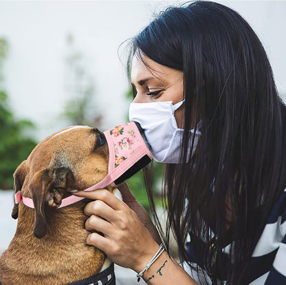 HEELE Dog Muzzle,Soft Nylon Muzzle Anti Biting Barking Chewing,Air Mesh Breathable Drinkable Adjustable Loop Pets Muzzle for Small Medium Large Dogs 4 Colors 4 Sizes (P-Pink Flower, S)