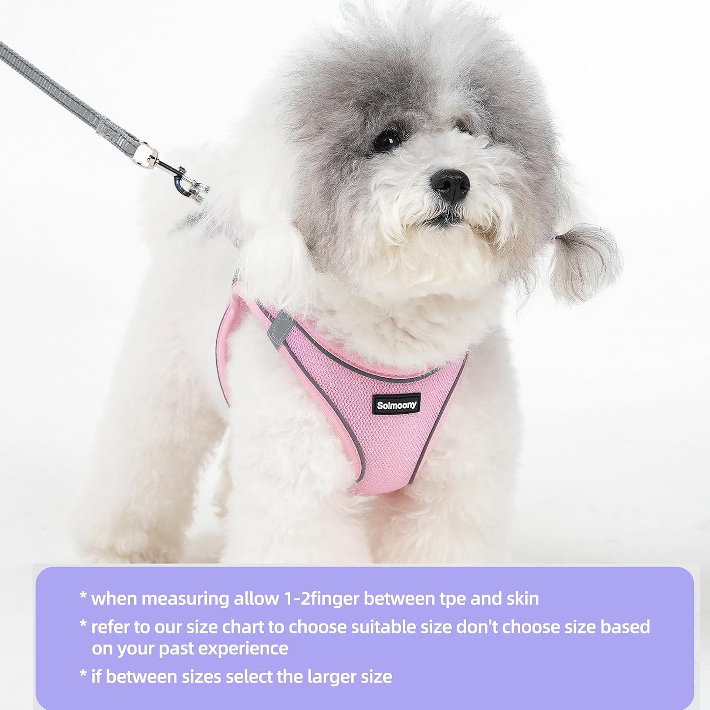 Solmoony Sparkly XXXS Dog Harness and Leash Set, Step in Soft Light Puppy Vest, Breathable Reflective Pet Harness for Walking, Puppy Harness for Small Dogs Cats (Pink, XXXS)