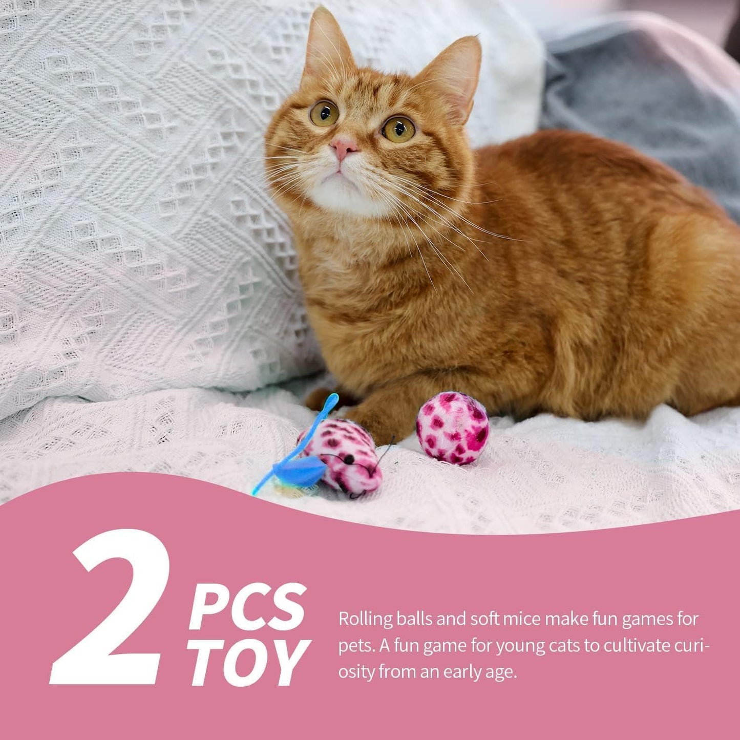 PAWISE Small Cat Litter Box,14.3 x 10.6 x 2.5 Kitten Litter Box Starter Kit,Low Entry Baby Kitten Training Litter Box with Scoop, Bowls,Cat Mouse Toy and Ball Toy,First Catty Owner Essentials(Pink)