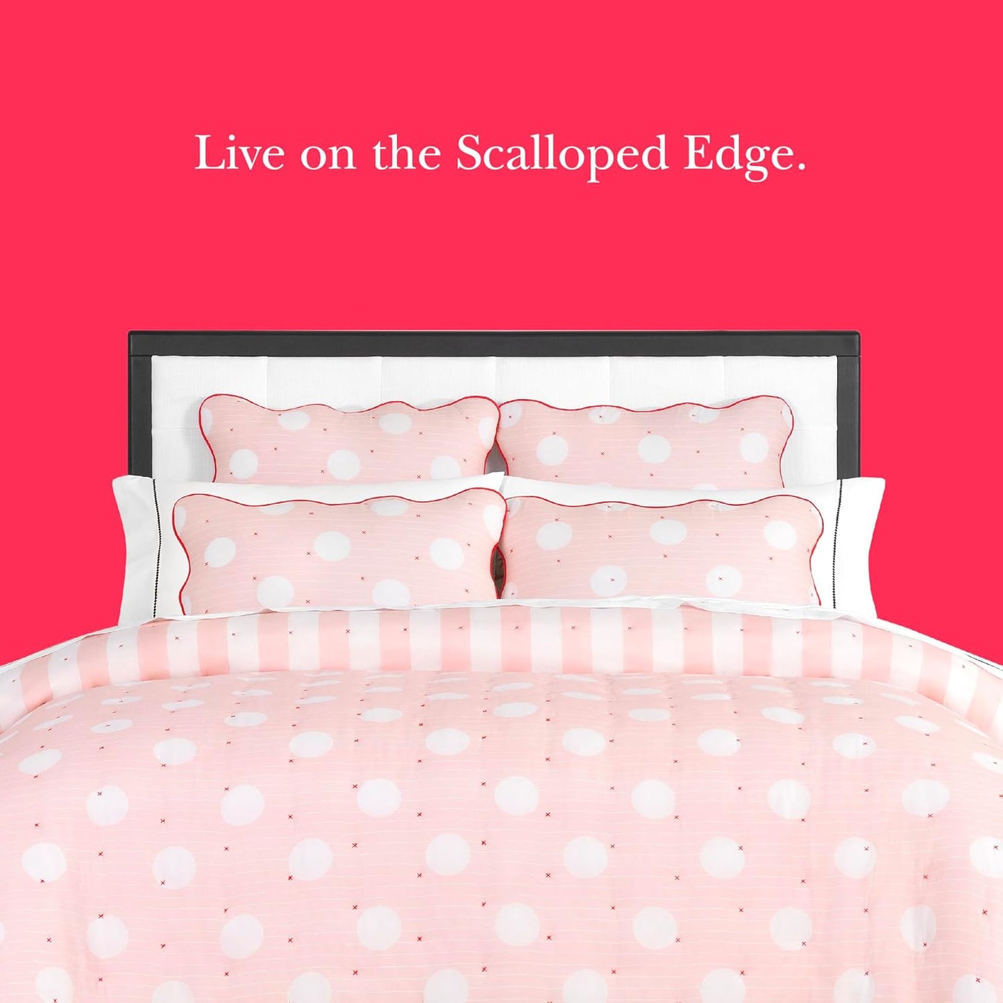 kate spade new york Stripe Dot 2-Piece Twin Quilt Bedding Set, 100% Cotton Reversible Cover, All Season Warmth Bedding, Machine Washable, Pink