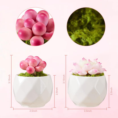 Set of 2 Artificial Succulent Plants Potted - Small Fake Succulents Handmade for Home Decor, Pink Desk Accessories, Dorm Decor