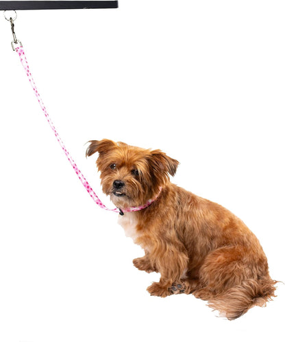 Country Brook Petz - Pink Oh My Dog Grooming Loop with Quick Release Buckle Featuring Unique Designs for Any Style (5/8 Inch)