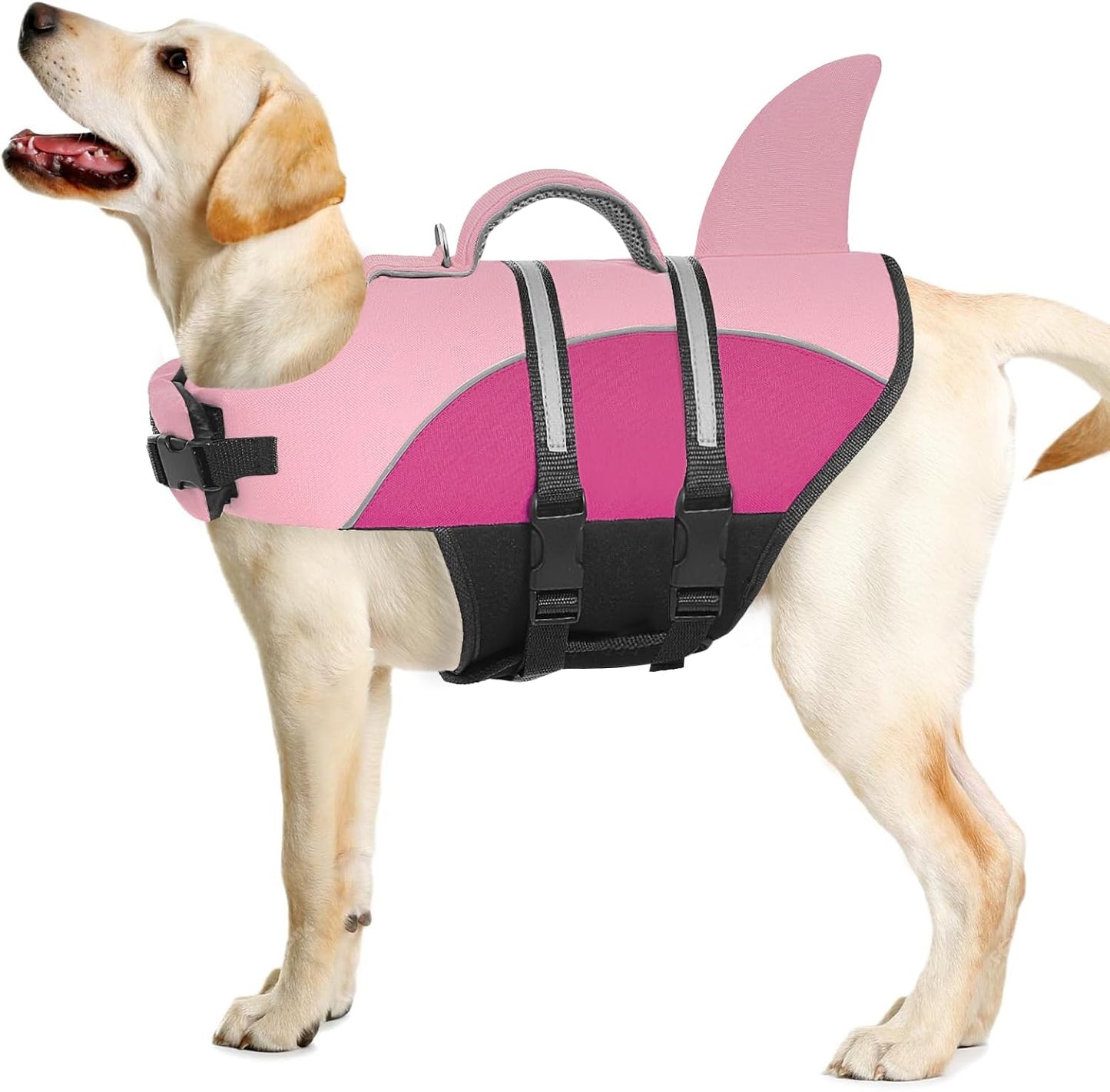 Queenmore Shark Dog Life Vest, XXL Dog Life Jacket for Swimming Boating for Large Dogs in Pool Lake Rescue Handle, Leash Hook, Reflective Strip, High Buoyancy