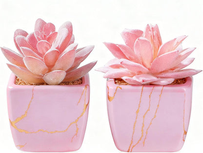 Taybonds Artificial Succulent in 2PCS Pink Ceramic Pot, Small Fake Succulents Plants for Office and Desk Decor,Bathroom