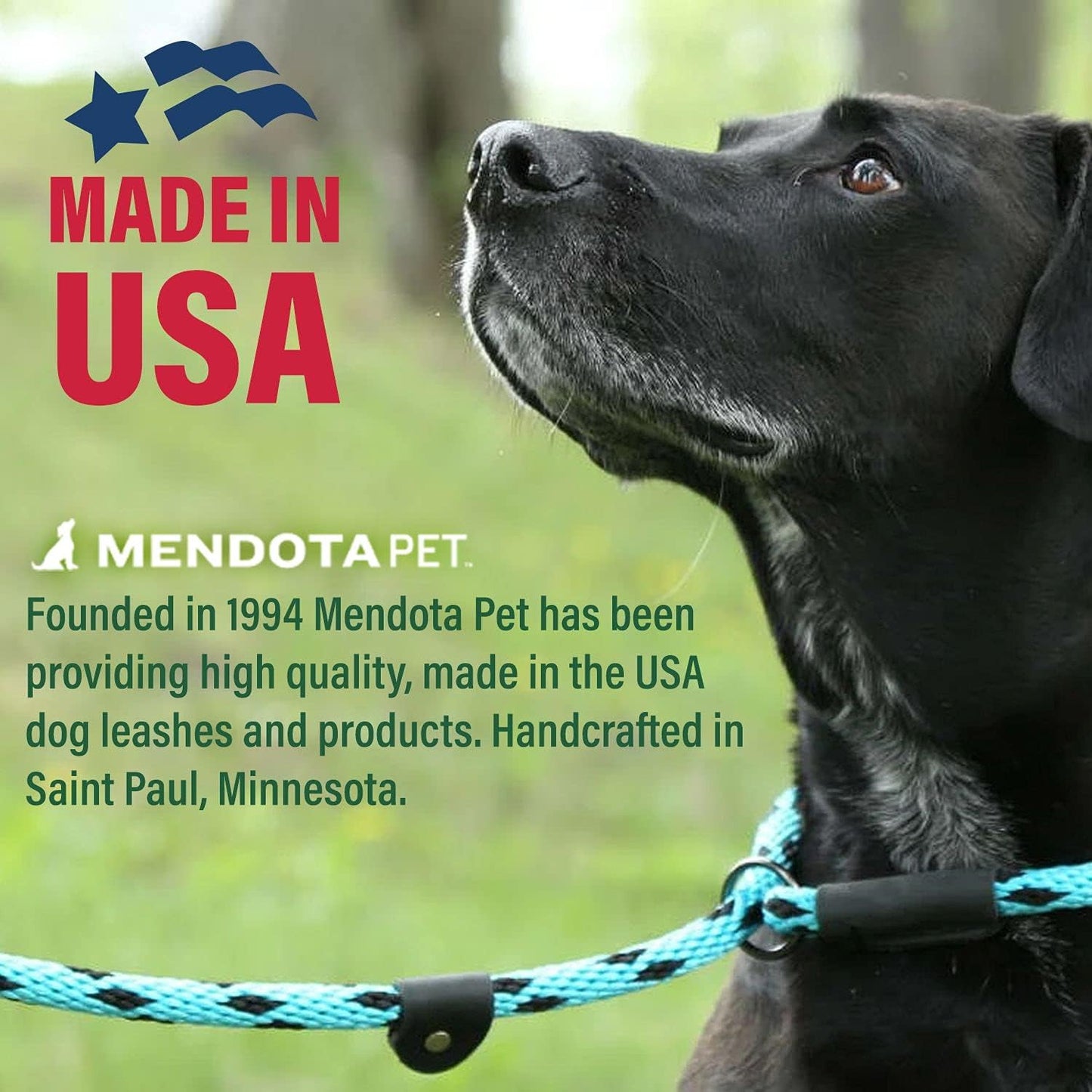 Mendota Pet Slip Leash - Dog Lead and Collar Combo - Made in The USA - Pink Chocolate, 3/8 in x 6 ft - for Small/Medium Breeds