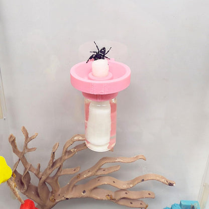 Jumping Spider Water Dispenser, Magnetic Hanging Feeder,Suitable for Jumping Spiders,Tarantulas, Praying Mantises,Arboreal Animals, and Other Small Animal Enclosure Accessories (Pink, 5ML)