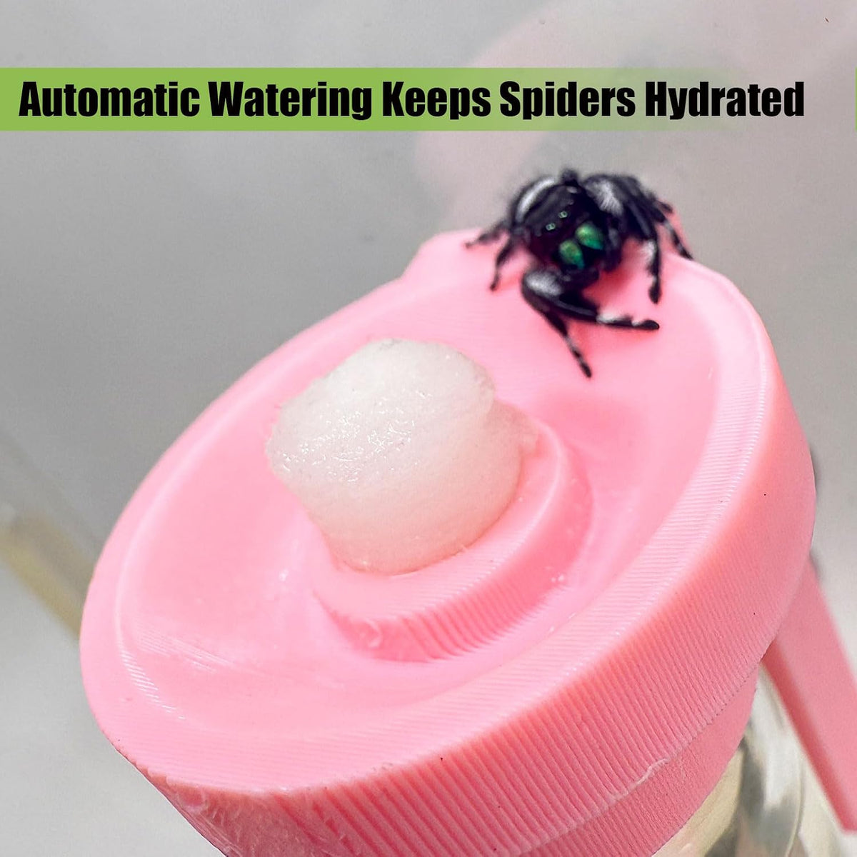 Jumping Spider Water Dispenser, Magnetic Hanging Feeder,Suitable for Jumping Spiders,Tarantulas, Praying Mantises,Arboreal Animals, and Other Small Animal Enclosure Accessories (Pink, 5ML)