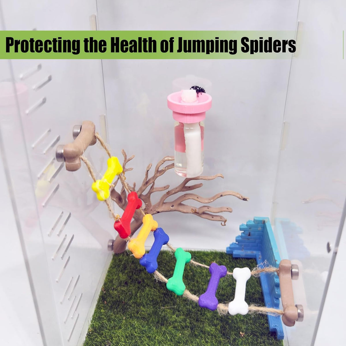 Jumping Spider Water Dispenser, Magnetic Hanging Feeder,Suitable for Jumping Spiders,Tarantulas, Praying Mantises,Arboreal Animals, and Other Small Animal Enclosure Accessories (Pink, 5ML)