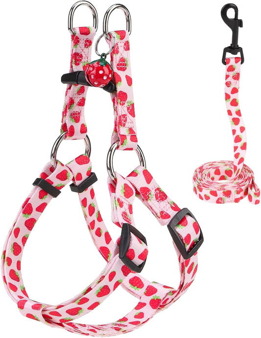 BEAUTYZOO Dog Harness Small Sized Dog Girl, No Pull Dog Harness and Leash Set,Step in Soft Light Puppy Vest, No Choke Heavy Duty Dog Halter with Bell,Breathable Adjustable Nylon Pet Harnesses, Pink XS