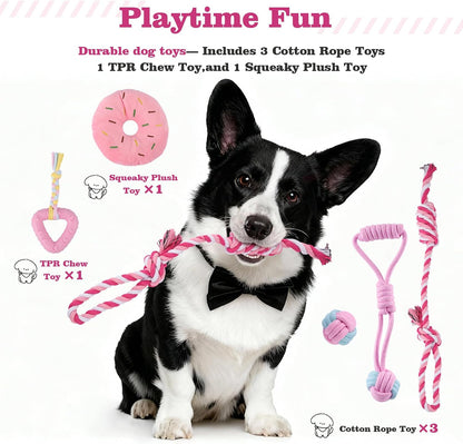 Puppy Supplies Starter Kit, Pink Puppy Essentials for Small Dogs | Bowls, toys, toothbrush, treat pouch and more in one pink puppy kit; ideal welcome home gift for small dogs and new puppies