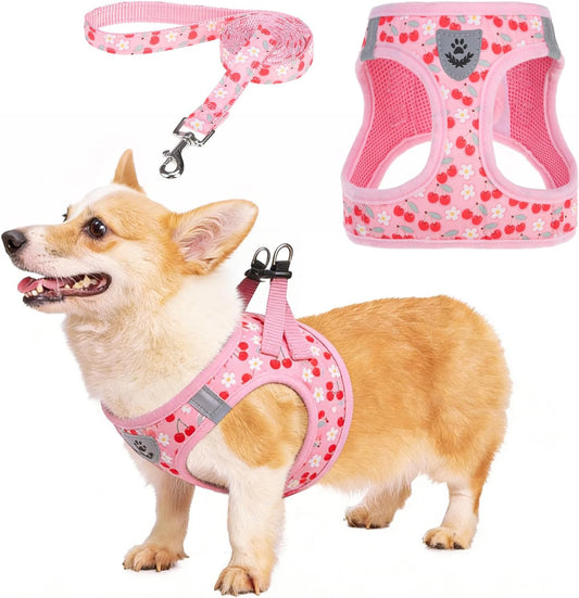 KOOLTAIL Dog Harness for Small Medium Dogs,Dog Harness and Leash Set, Step in No Pull Soft Mesh Padded Adjustable and Reflective Pet Vest Harness Puppy, Plaid Extra Harness for XS S Dogs,Pink Cherry,M