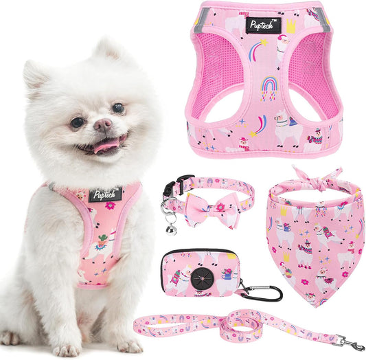 PUPTECK Adjustable Dog Harness Collar and Leash Set, Step in No Pull Pet Harness for Small Medium Dogs Puppy Cats Outdoor Walking, Soft Mesh Padded Reflective Vest Harnesses, Light Pink Alpaca, XS