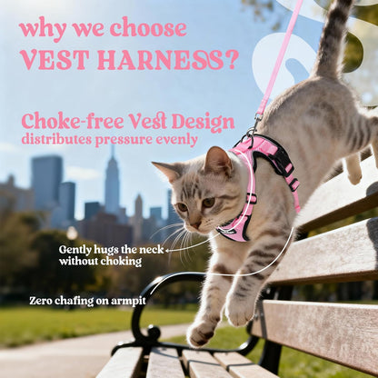 rabbitgoo Cat Harness and Leash Set, Escape Proof Vest, Xs, Pink | Soft Breathable Mesh, No-choke Adjustable Fit, Snap Buckles, Sturdy Clip, Reflective Strips, for Small & Average Cats Walks