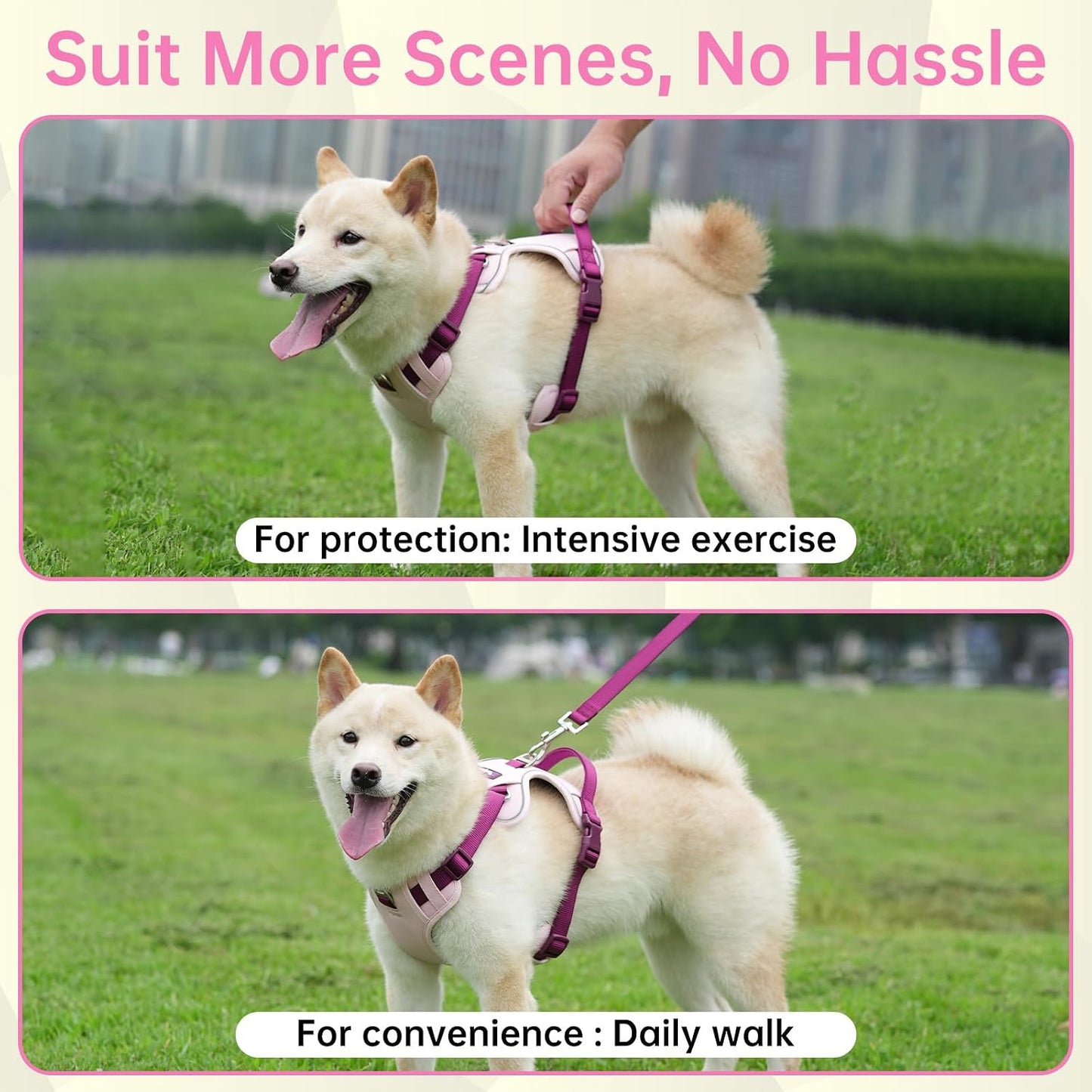 Dog Harness and Leash Set with Collar, No Pull Reflective Pet Vest Harness with Control Handle for Medium Large Dogs Walking and Training