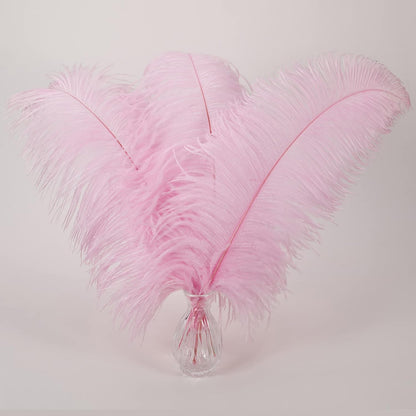 Larryhot Pink Long Ostrich Feathers - 16-18 inch 10pcs Feathers for Cfafts, Wedding Party Centerpieces and Home Decorations (Light Pink)