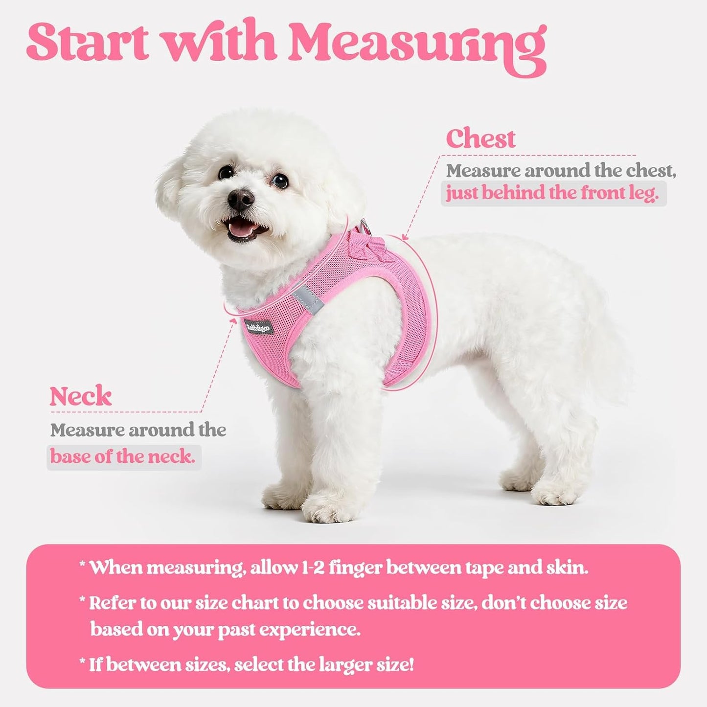 rabbitgoo Dog Harness Small Sized and Leash Set, Step in Soft Light Puppy Vest, Breathable Mesh Pet Harness, Reflective for Safe Easy Walking, Light Pink S