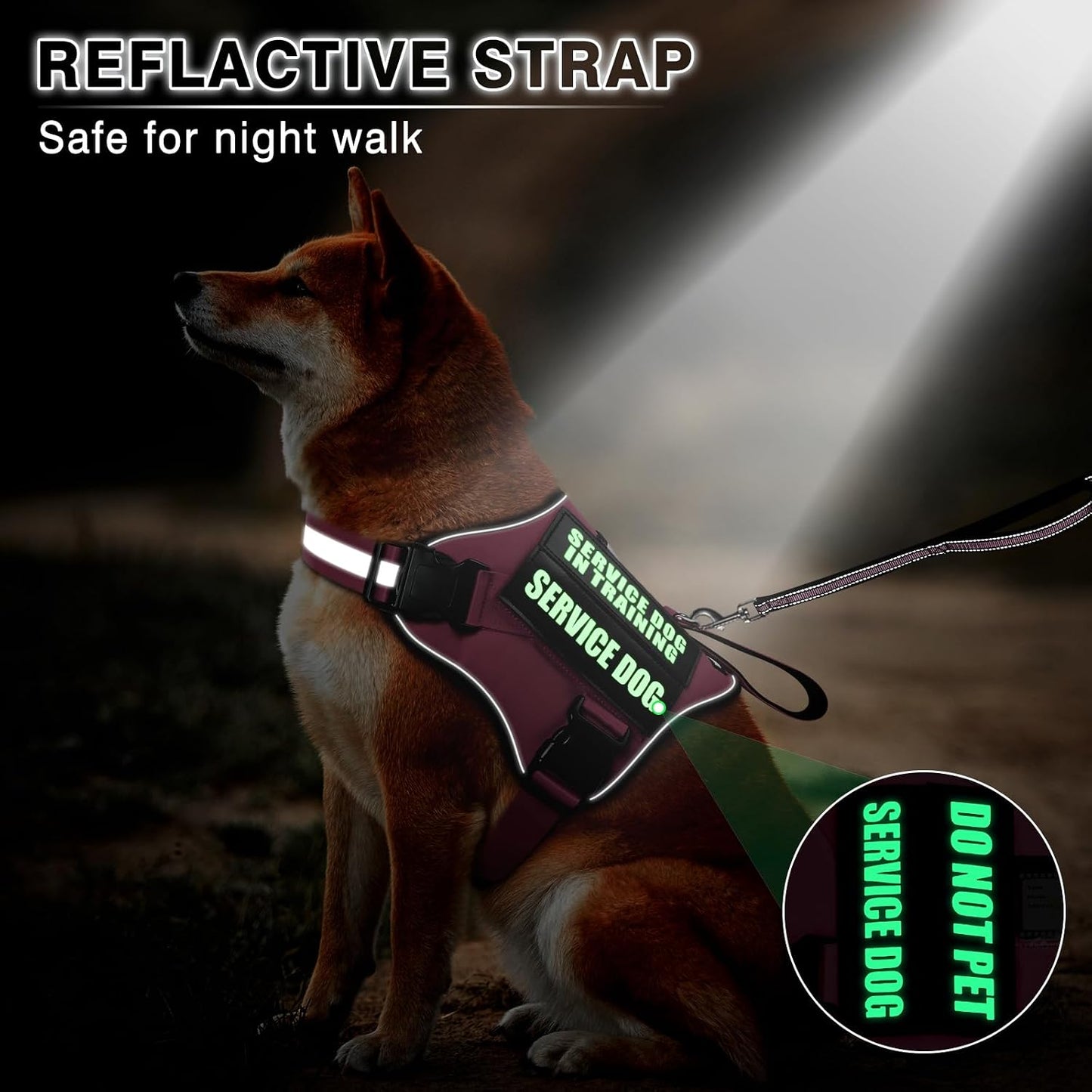 Service Dog Vest Harness and Leash Set+10 Patches,No Pull&Easy Walk Reflective Dog Harness with Soft Padded Handle for Training/Everyday,Fit Small/Medium/Large/Extra-Large Dogs(Pink S)