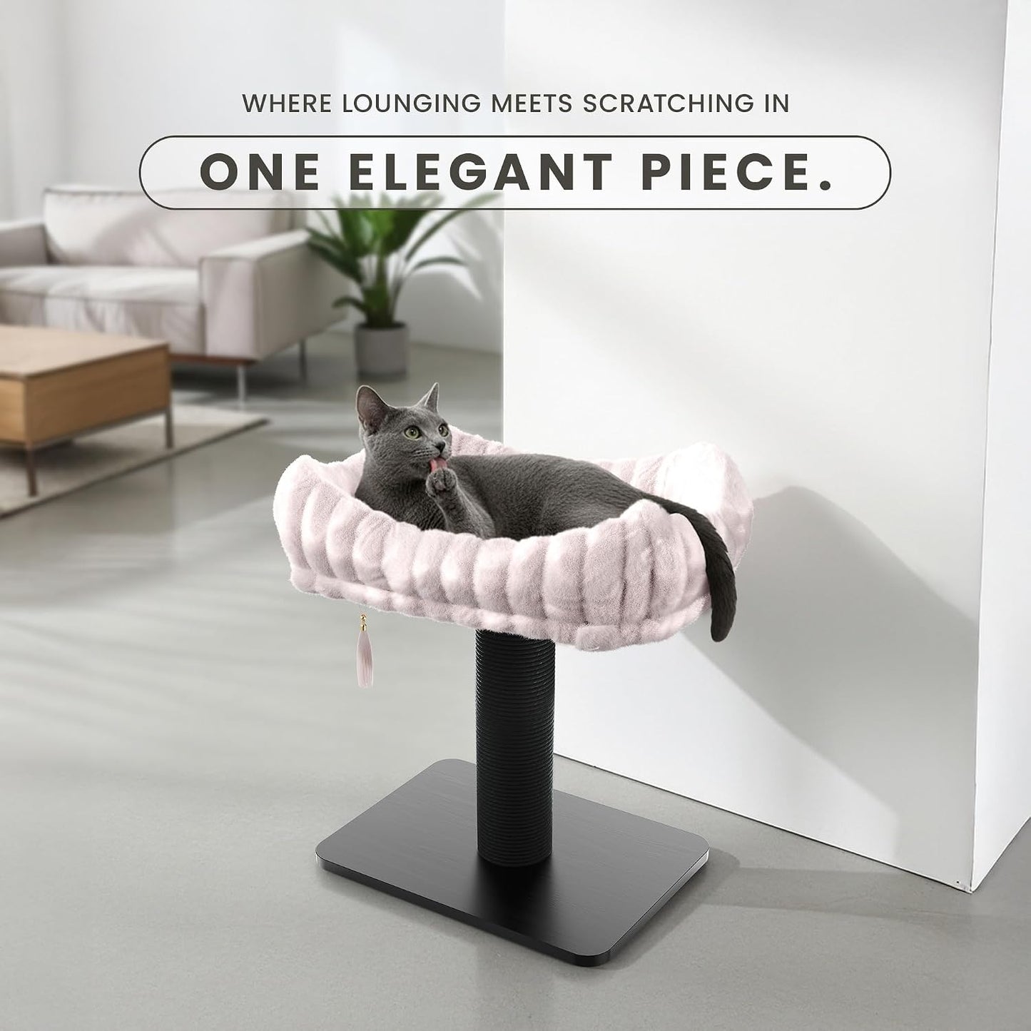 Modern Scratching Post for Indoor Cats - 15” High Cat Scratching Post with Bed Breeds - 15.7” x 11.6” Removable & Washable Cushion (Black Post with Pink Bed)