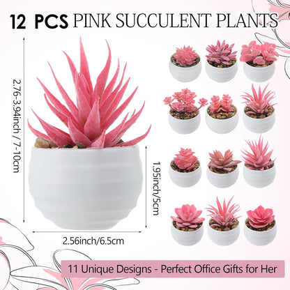 Norme 12 Pcs Pink Succulent Plants Artificial in Pots Small Fake Succulents Bulk for Office Desk Pink Desk Accessories Home Wedding Decor Birthday Easter Day Gifts for Wife Women