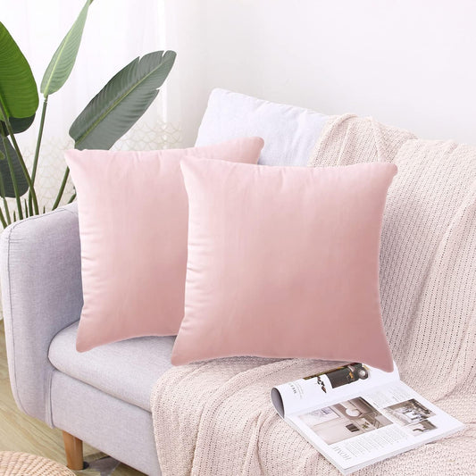Hibate 2 Pack Soft Velvet Couch Throw Pillow Covers 20x20 Inch for Sofa Living Room Bedroom (Pink)