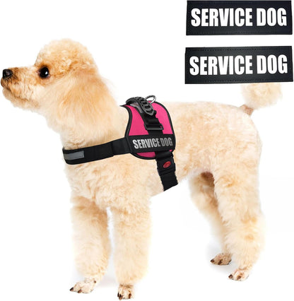 ALBCORP Service Dog Vest Harness – Reflective Service Animal Vest, No-Pull Harness with Handle & Mesh Padding – Sizes XXS-XL for Puppies – 2 Removable Service Patches Included (Extra Small, Pink)