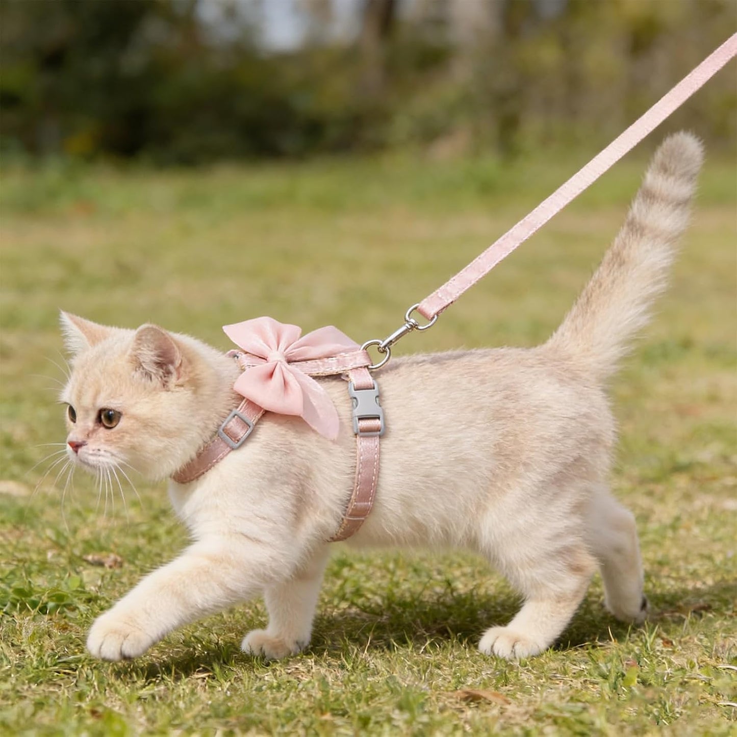 Tensho Pink Bow Cat Harness and Leash Set Escape Proof, Adjustable Kitten Harness with Leash, Bow Tie Cat Harness for Walking Outdoor - Soft Lightweight Harness for Small Dogs Cats Rabbits (S)