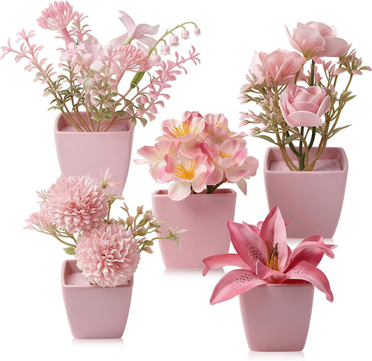 5 Pack Small Fake Plants Pink Artificial Plants Indoor Mini Potted Plant Flowers Set Faux Greenery Pot for Home Bathroom Decor Office Desk Room Shelf Kitchen Living Table Decoration (22736ZH5)