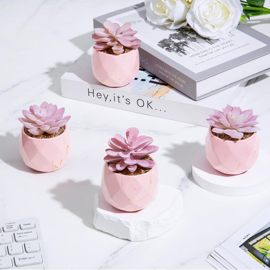 ZENIDA Artificial Succulent Plants in 4 Pink Ceramic Pots, Cute Fake Plants for Vanity Decor, Office, Desk, Bathroom, Kitchen, Bedroom, Shelves Decor for Women, Girls Gift