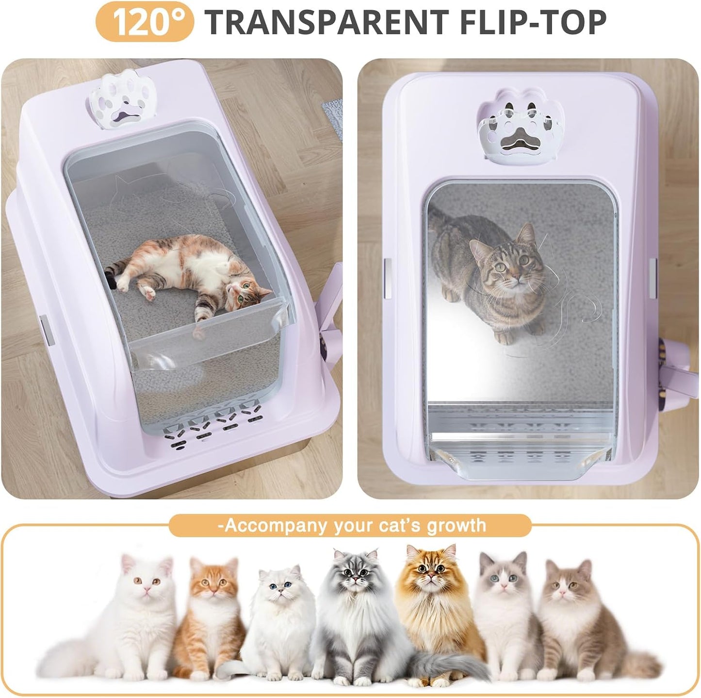 Stainless Steel Cat Litter Box, Cat Litter Box, Easy to Clean Metal Cat Box - Pink