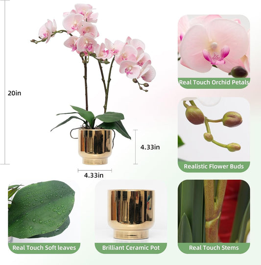 CXGS Orchids Artificial Flowers Real Touch Fake Flowers in Ceramic Pot 20" Pink Faux Orchid Plant Lifelike Silk Phalaenopsis for Centerpiece Hotel Home Indoor Decor