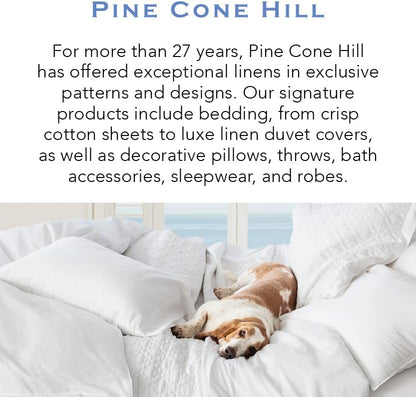 Trio Fuchsia Stripe Percale Cotton Duvet Sham, Standard