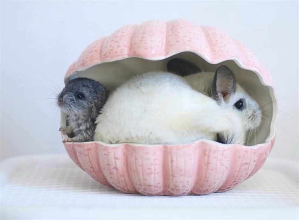 Small Animal Hideout Extra Large Ceramic Shell Shape Guinea Pig House Chinchilla Igloo Habitat Hut Cave Summer Bed Cage Accessories for Hedgehog Rabbit Hamster Gerbil Rat (XL (9.5''x7''x7.9''), Pink)