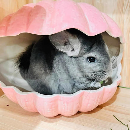 Small Animal Hideout Extra Large Ceramic Shell Shape Guinea Pig House Chinchilla Igloo Habitat Hut Cave Summer Bed Cage Accessories for Hedgehog Rabbit Hamster Gerbil Rat (XL (9.5''x7''x7.9''), Pink)