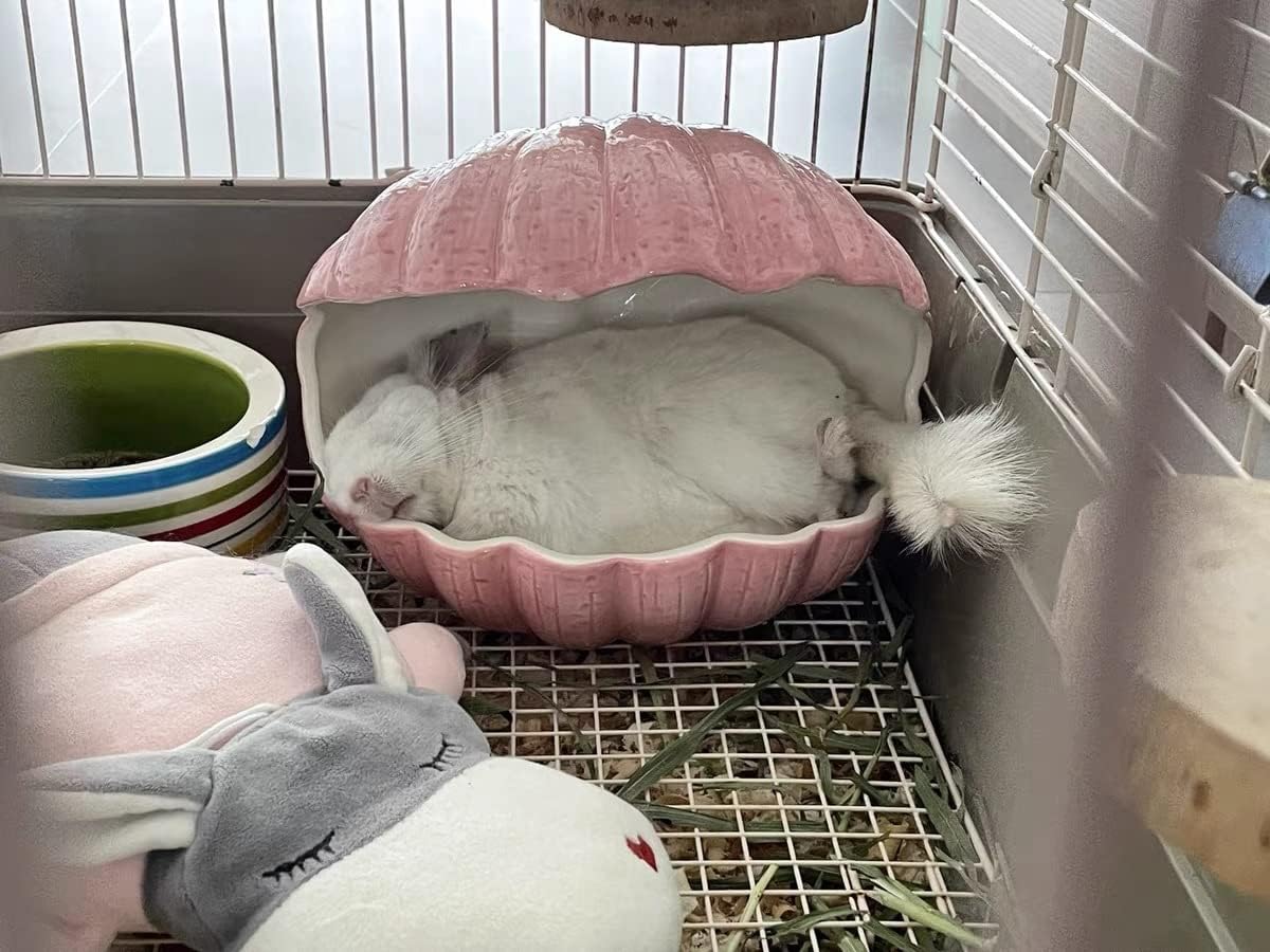 Small Animal Hideout Extra Large Ceramic Shell Shape Guinea Pig House Chinchilla Igloo Habitat Hut Cave Summer Bed Cage Accessories for Hedgehog Rabbit Hamster Gerbil Rat (XL (9.5''x7''x7.9''), Pink)
