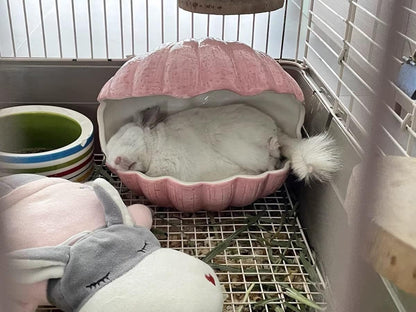 Small Animal Hideout Extra Large Ceramic Shell Shape Guinea Pig House Chinchilla Igloo Habitat Hut Cave Summer Bed Cage Accessories for Hedgehog Rabbit Hamster Gerbil Rat (XL (9.5''x7''x7.9''), Pink)