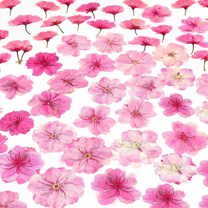 48 Pcs Mix Natural Dried Pressed Cherry Blossoms for Floral Cake Decorating, Cocktail Garnish, Resin Jewelry Making, DIY Art Crafts (Pink Sakura)