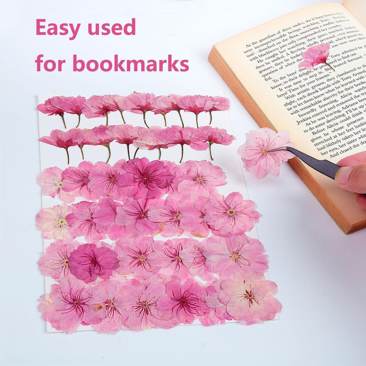 48 Pcs Mix Natural Dried Pressed Cherry Blossoms for Floral Cake Decorating, Cocktail Garnish, Resin Jewelry Making, DIY Art Crafts (Pink Sakura)