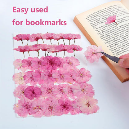48 Pcs Mix Natural Dried Pressed Cherry Blossoms for Floral Cake Decorating, Cocktail Garnish, Resin Jewelry Making, DIY Art Crafts (Pink Sakura)