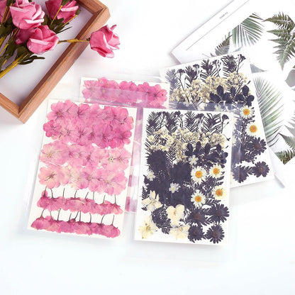 48 Pcs Mix Natural Dried Pressed Cherry Blossoms for Floral Cake Decorating, Cocktail Garnish, Resin Jewelry Making, DIY Art Crafts (Pink Sakura)