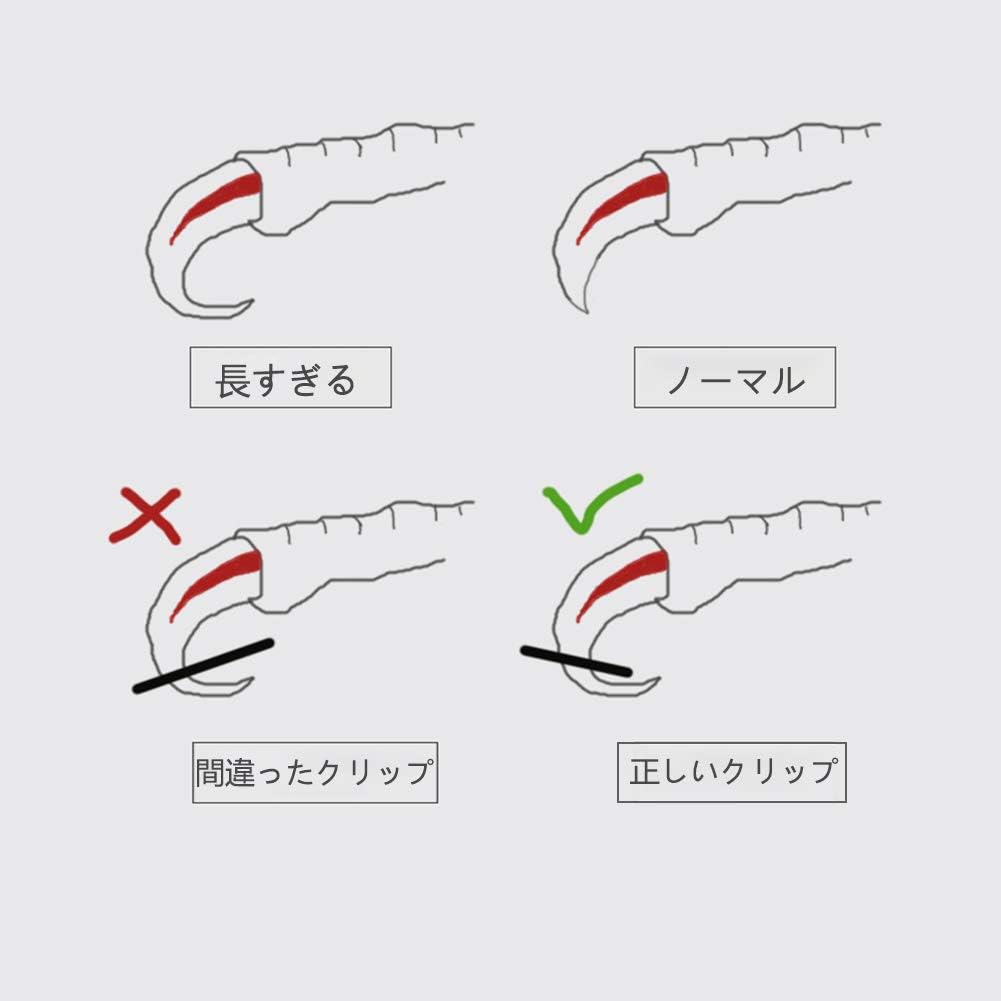 Bird Nail Clippers with Grinding Nail Scissors Tool Pet Parrot Claw Care (Pink,L)