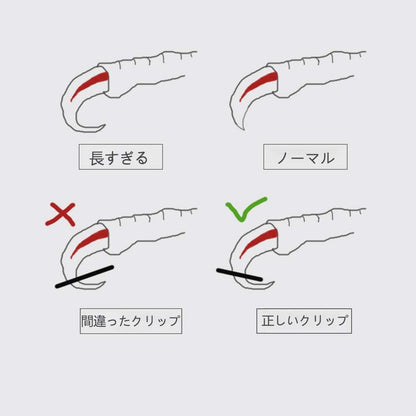 Bird Nail Clippers with Grinding Nail Scissors Tool Pet Parrot Claw Care (Pink,L)