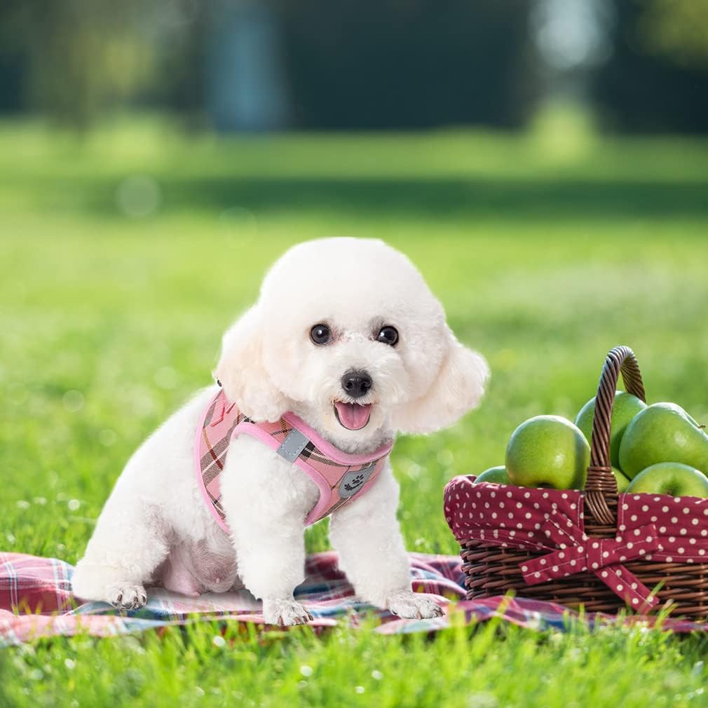 Classic Plaid Puppy Harness - Small Dog Harness and Leash Set - Dog Collar and Leash Set with AirTag Holder, Soft Padded Step in Dog Vest Harness No Pull Reflective for Outdoor, Pink XS