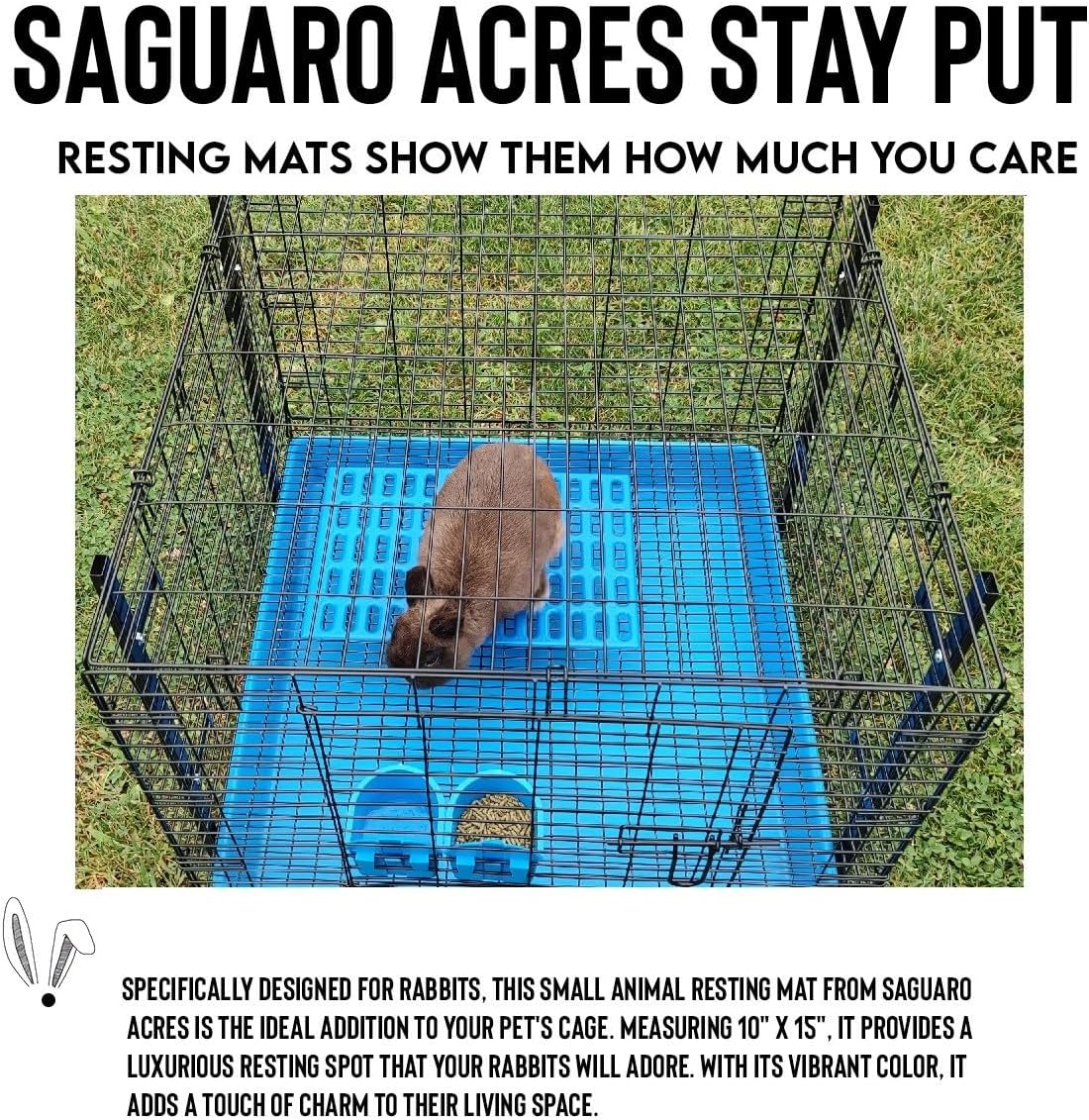 Saguaro Acres Rabbit & Small Animal Cage Resting Mat, Pink & Blue, 6-Pack
