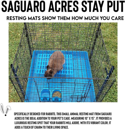 Saguaro Acres Rabbit & Small Animal Cage Resting Mat, Pink & Blue, 6-Pack