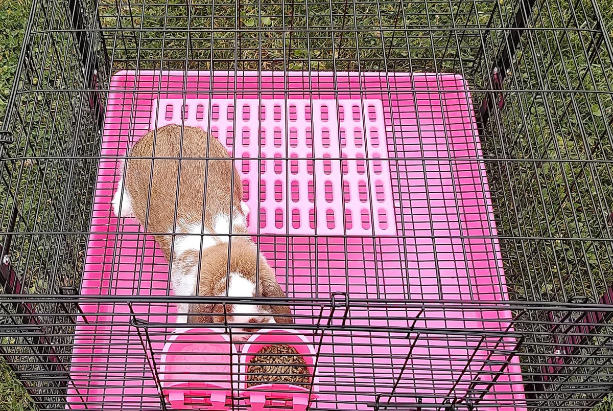 Saguaro Acres Rabbit & Small Animal Cage Resting Mat, Pink & Blue, 6-Pack
