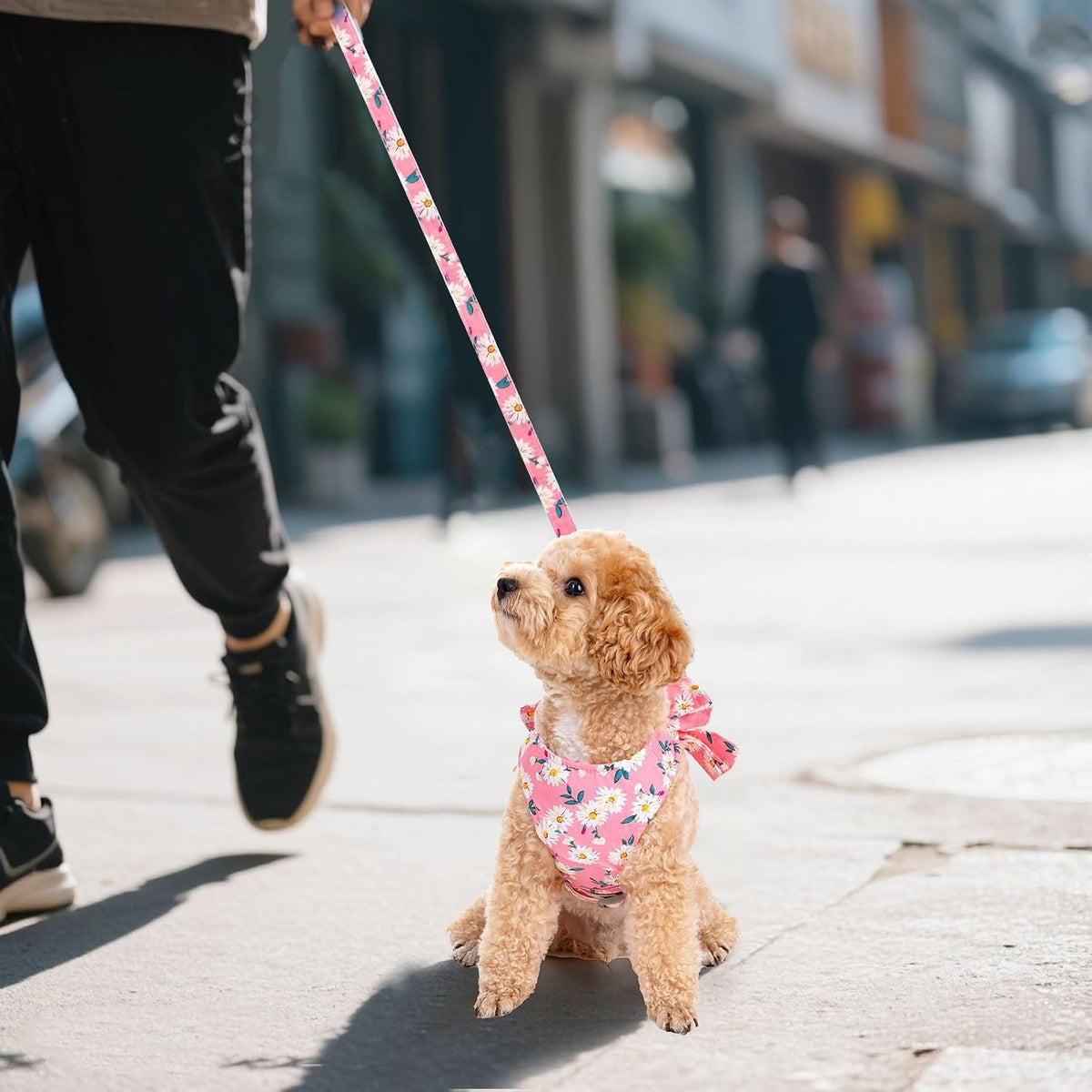 Dog Harness and Leash Set Adjustable Puppy Harness Mesh Vest Set Bow Knot Pet Clothes for Small Girl Dog Cat Summer (Pink, X-Small)