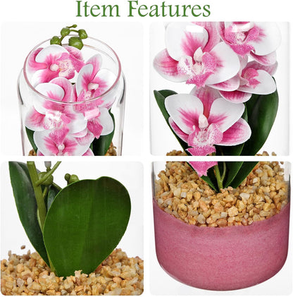 Pink Orchids Artificial Flowers with Vase, Small Faux Orchid Arrangement Fake Orchids Plant in Terrarium Jar Small Pink Orchid Centerpieces for Kitchen Dining Room Tables Bathroom Nightstand Decor