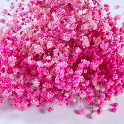 Preserved Baby's Breath 3 Bunches, 100% Natrual Fresh Gypsophila Long Lasting Flowers for Vase Arrangements Home Decoration Photo Props Parties and Weddings, DIY Décor-Pink